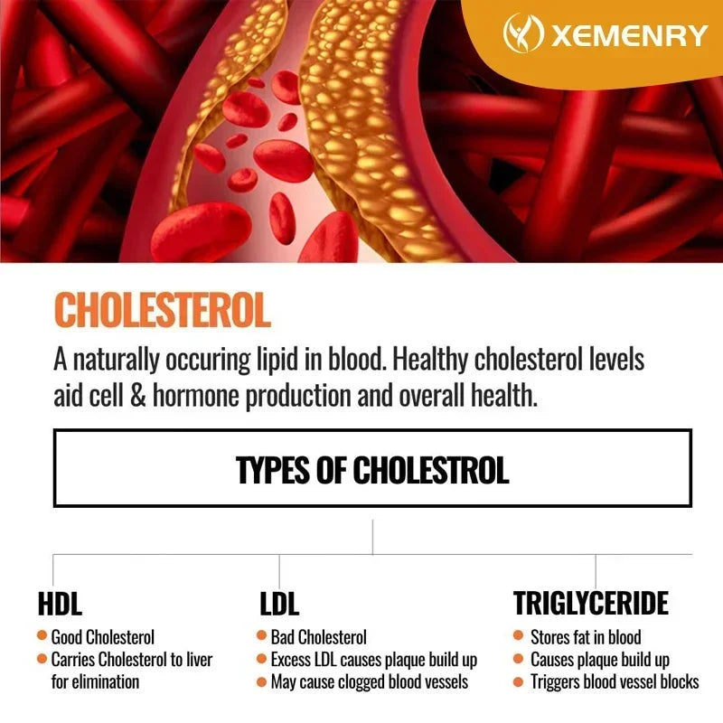 Cholesterol Supplements - Keep Blood Flowing and Promote Cardiovascular Health